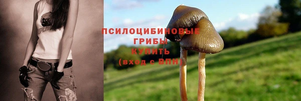 скорость mdpv Гусиноозёрск