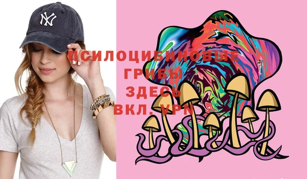 прущая мука Алзамай