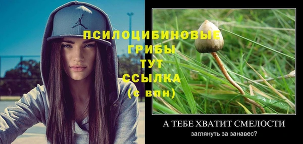 трава Алексин