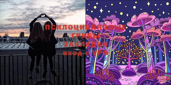 прущая мука Алзамай