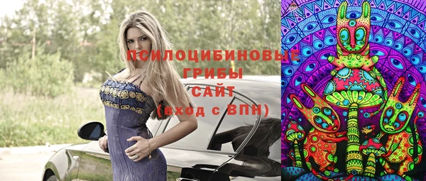 прущая мука Алзамай