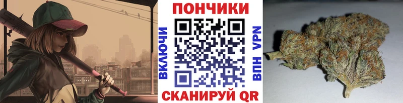 Бошки марихуана SATIVA & INDICA  где найти наркотики  Южно-Сухокумск 